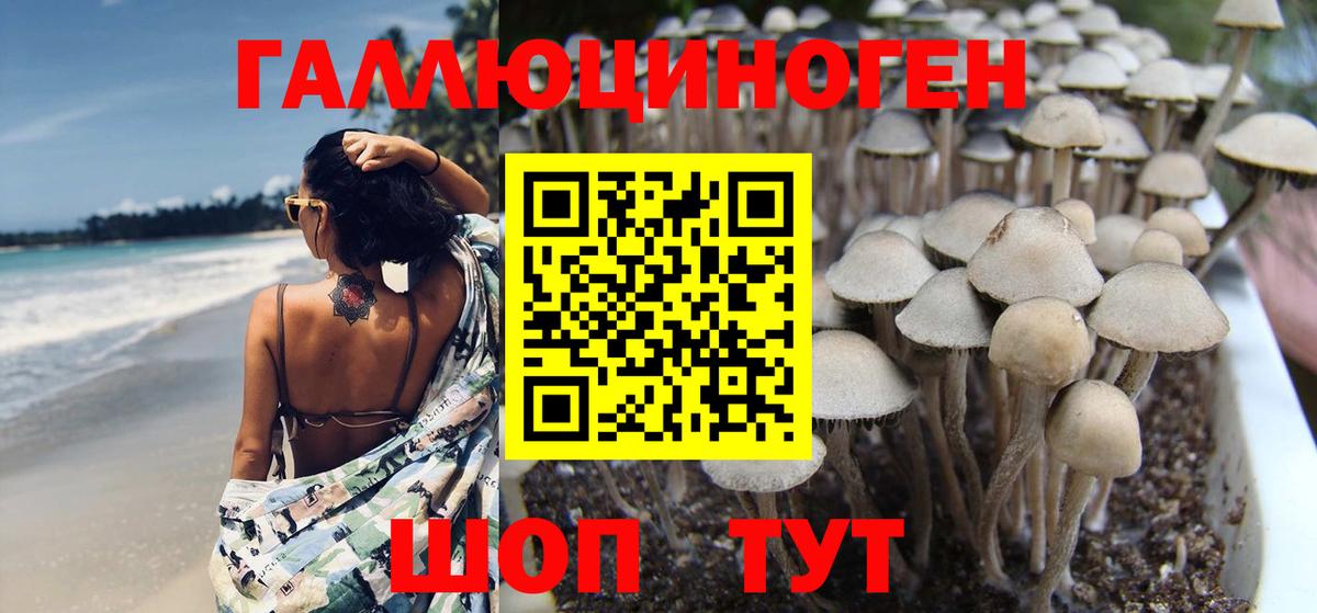Усинск  сколько стоит  Вход с VPN  Галлюциногенные грибы GOLDEN TEACHER 
